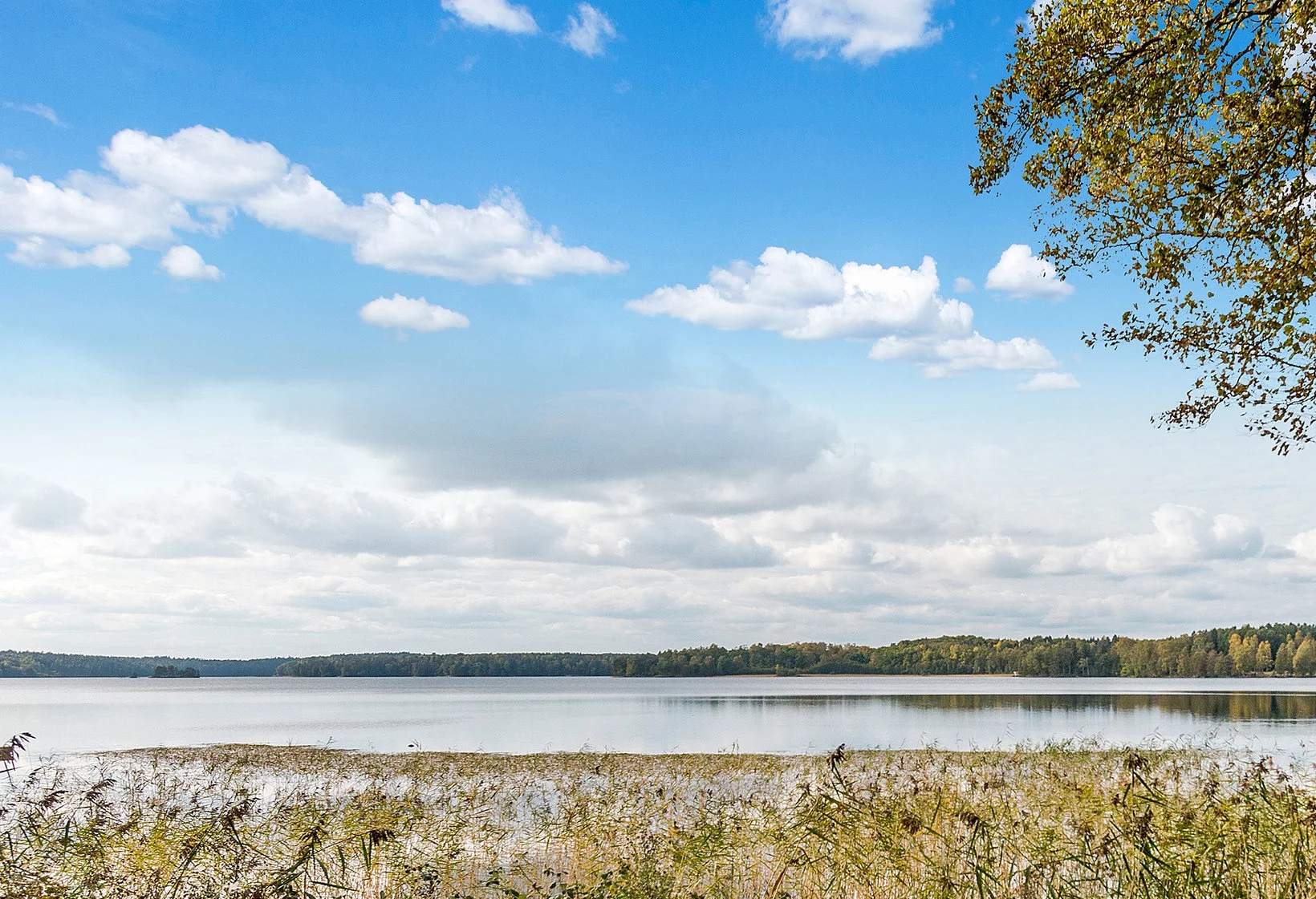 yngern-strand-bästa-läget.jpg