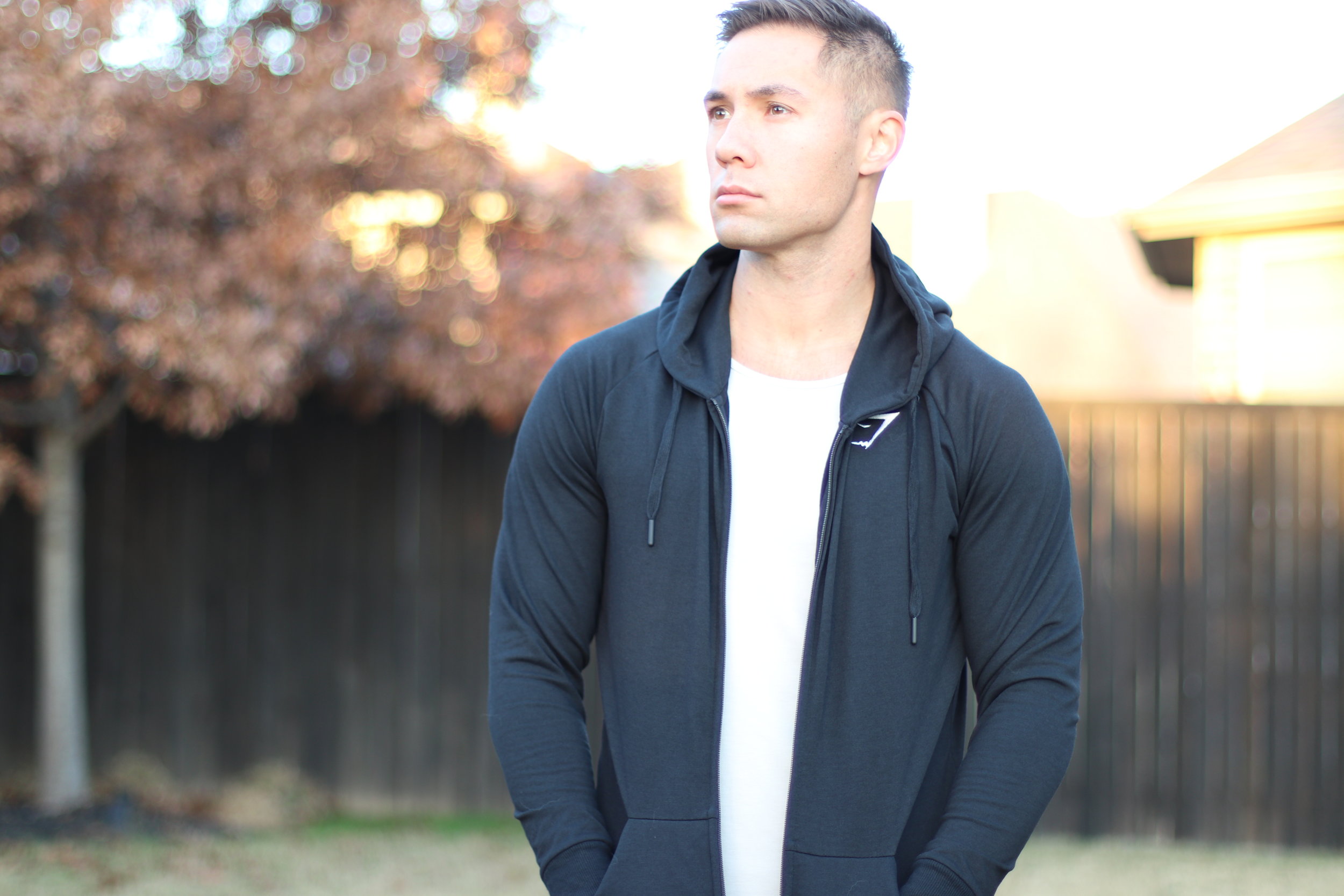 gymshark ark zip hoodie