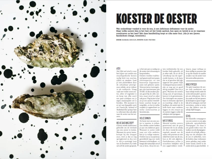 afbeelding_koestder_de_oester.jpg