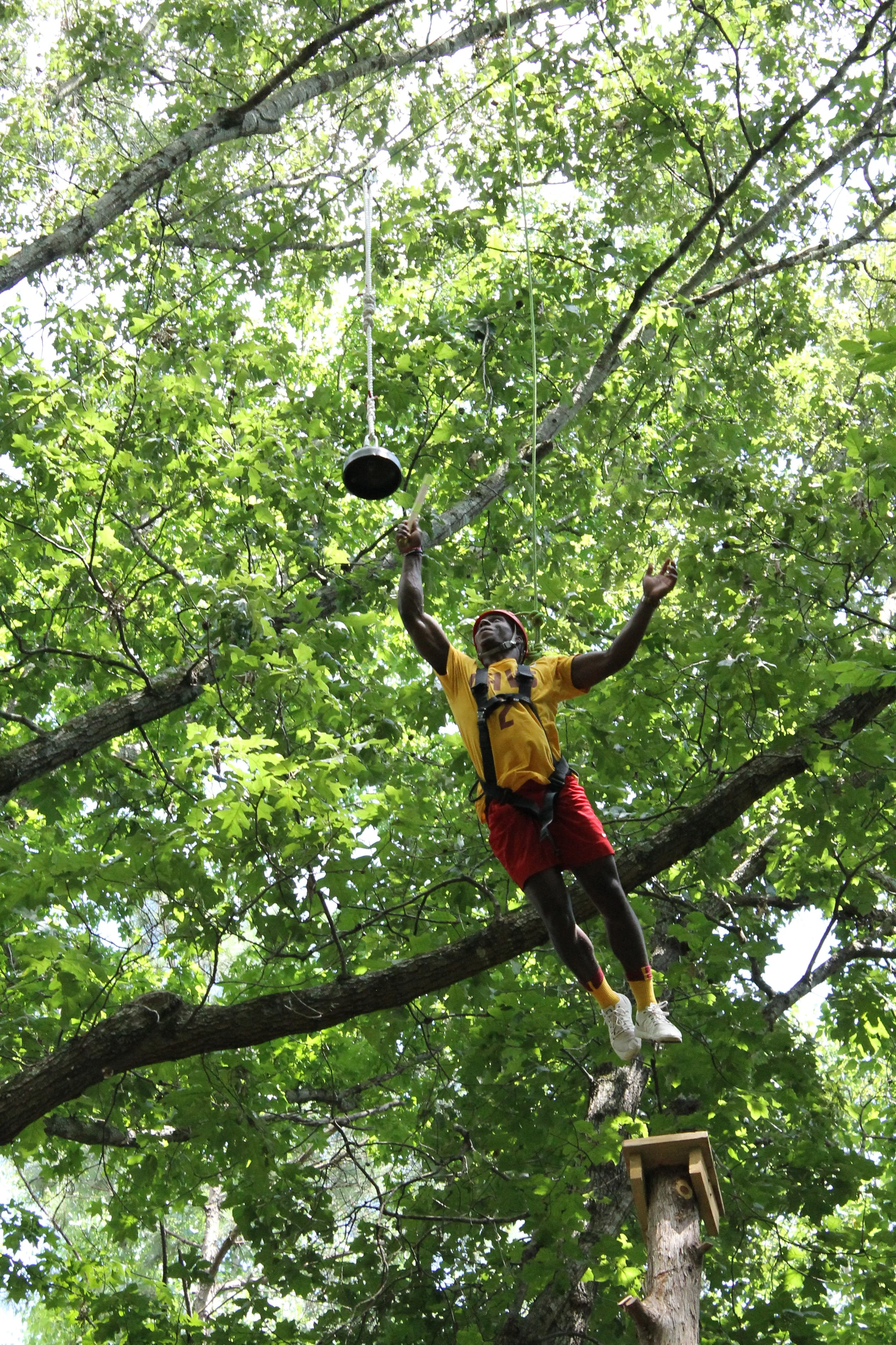 The Tree Hugger 'Leap of Faith' is a 32ft pole you must climb and