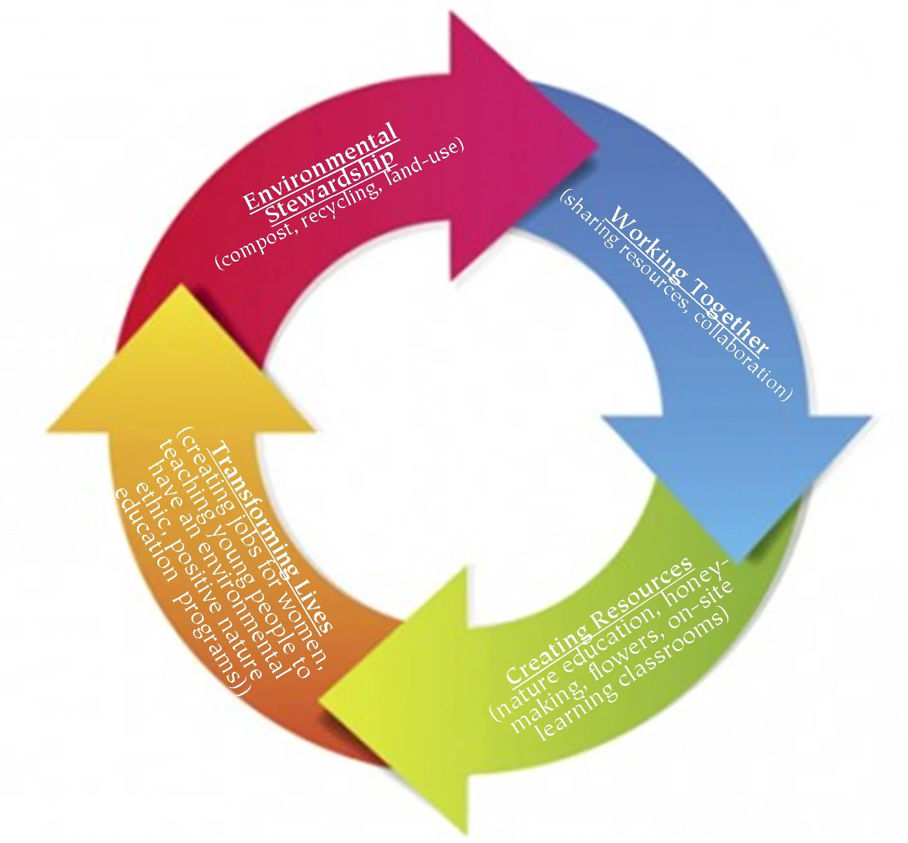 cycle.jpg
