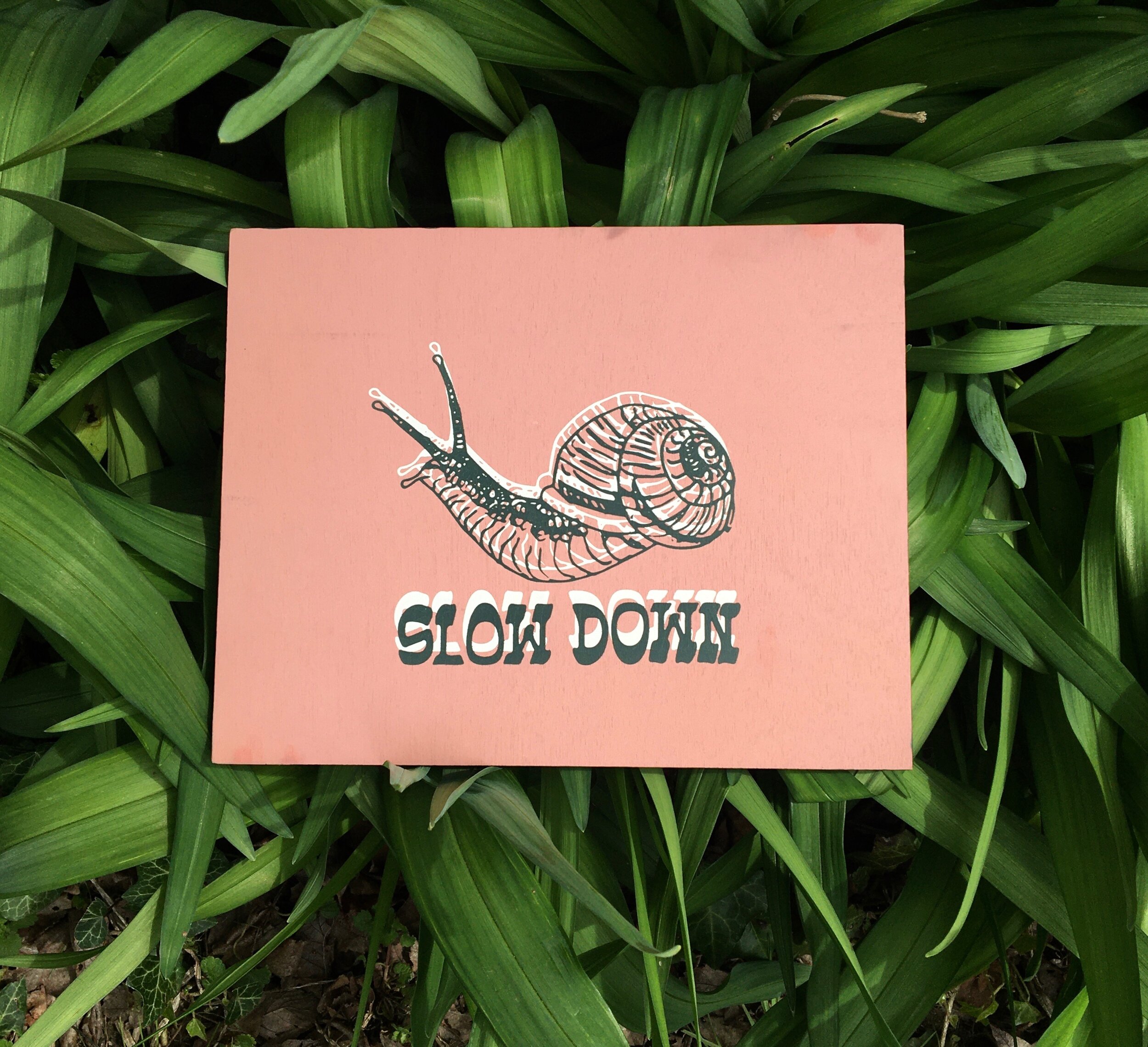 Slow Down Wood Plaque