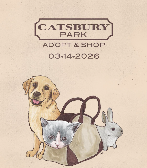 Catsbury Park Adopt and Shop