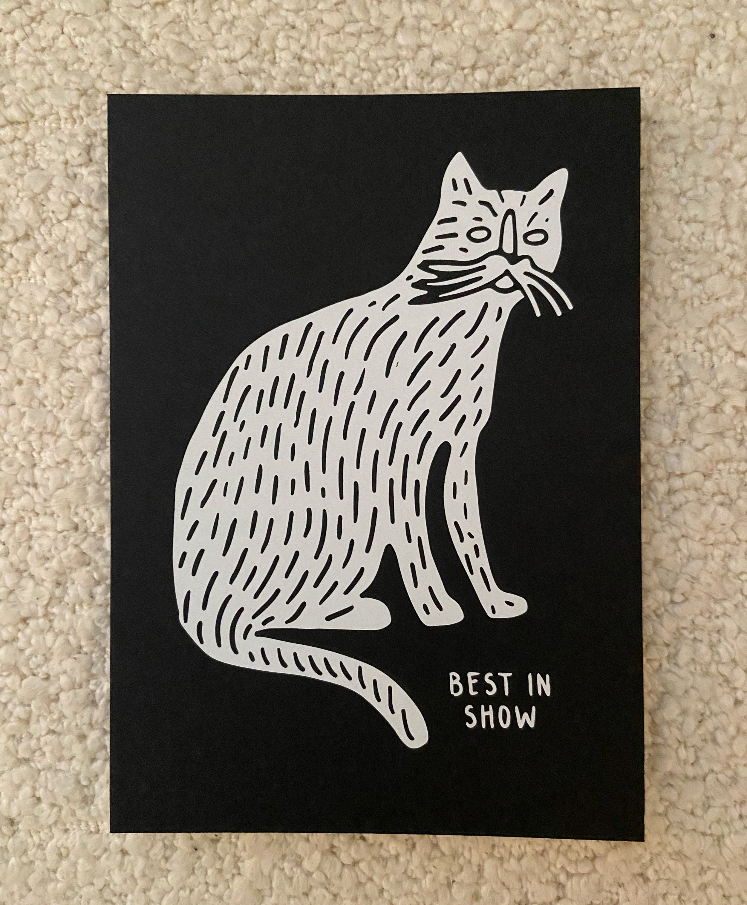 Whiskers for days 🤍
.
.
.
#cats #screenprinting #illustration #bestinshow #whiskerwednesday