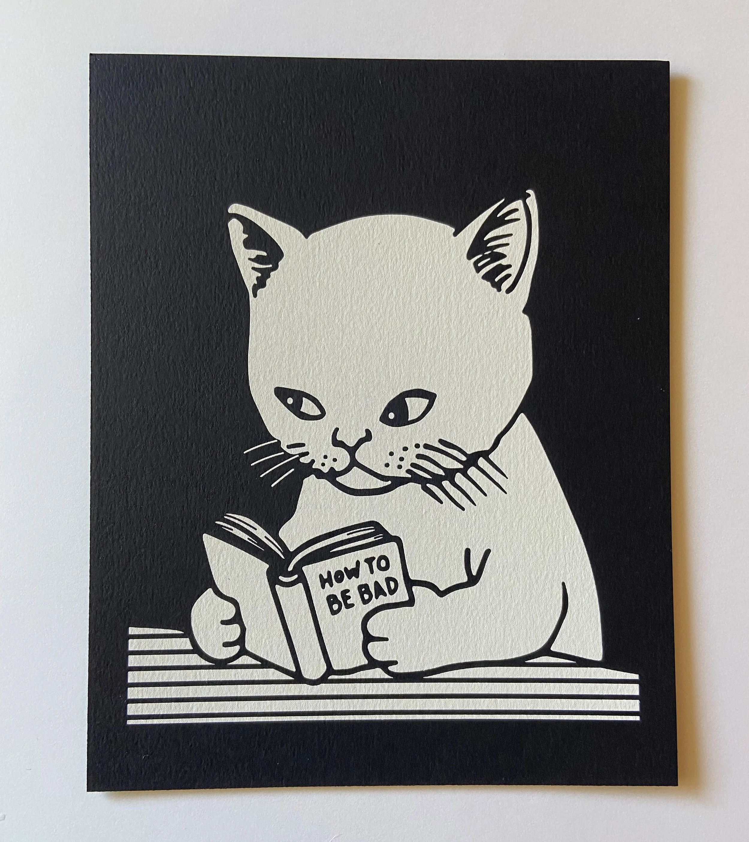 She wrote the book 
.
.
.
.
#lilkim #whitecats #screenprinting #cats #lovecats