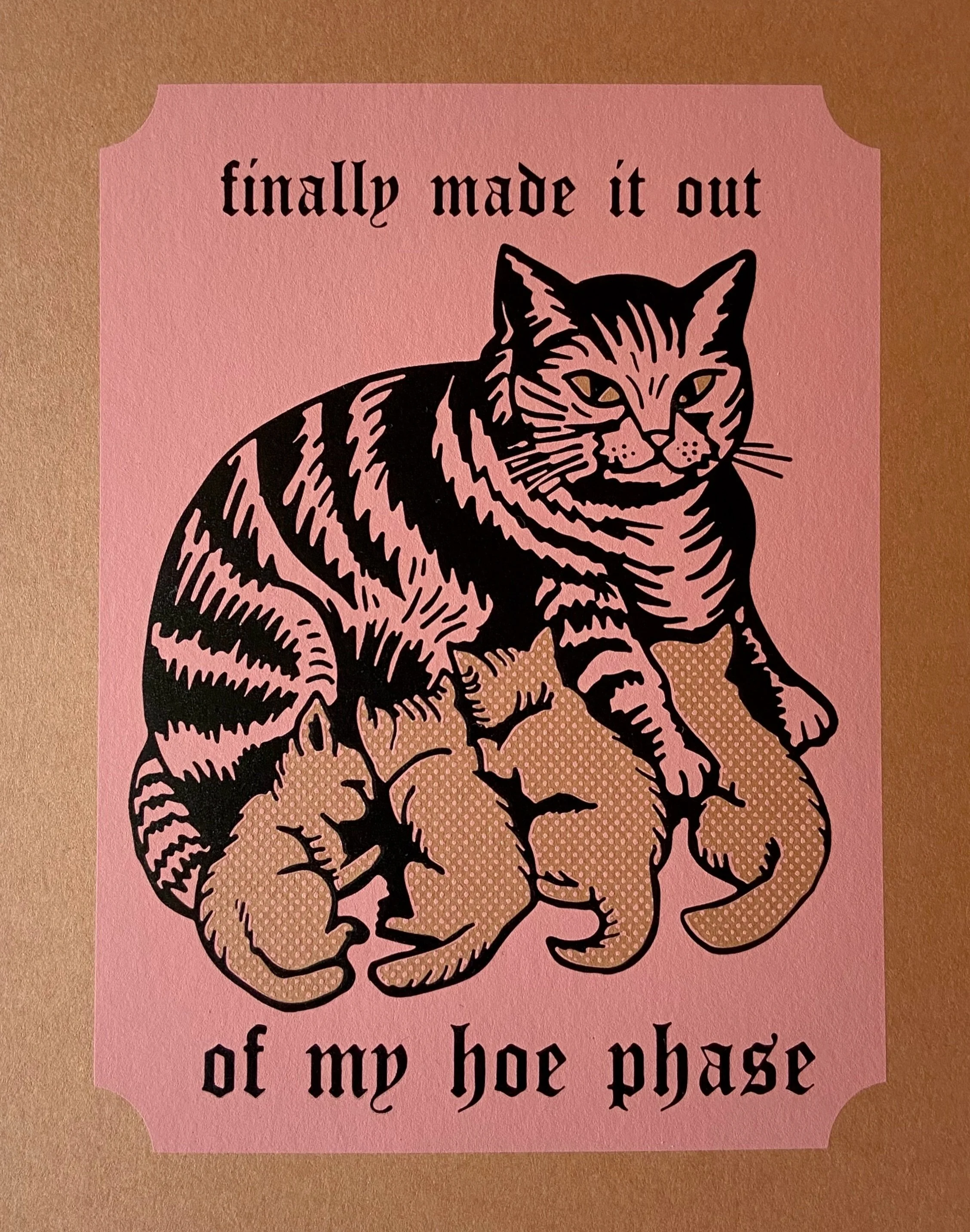 Time to hunker down 
.
.
.
#screenprinting #cats #kittens #hoephase #adopt