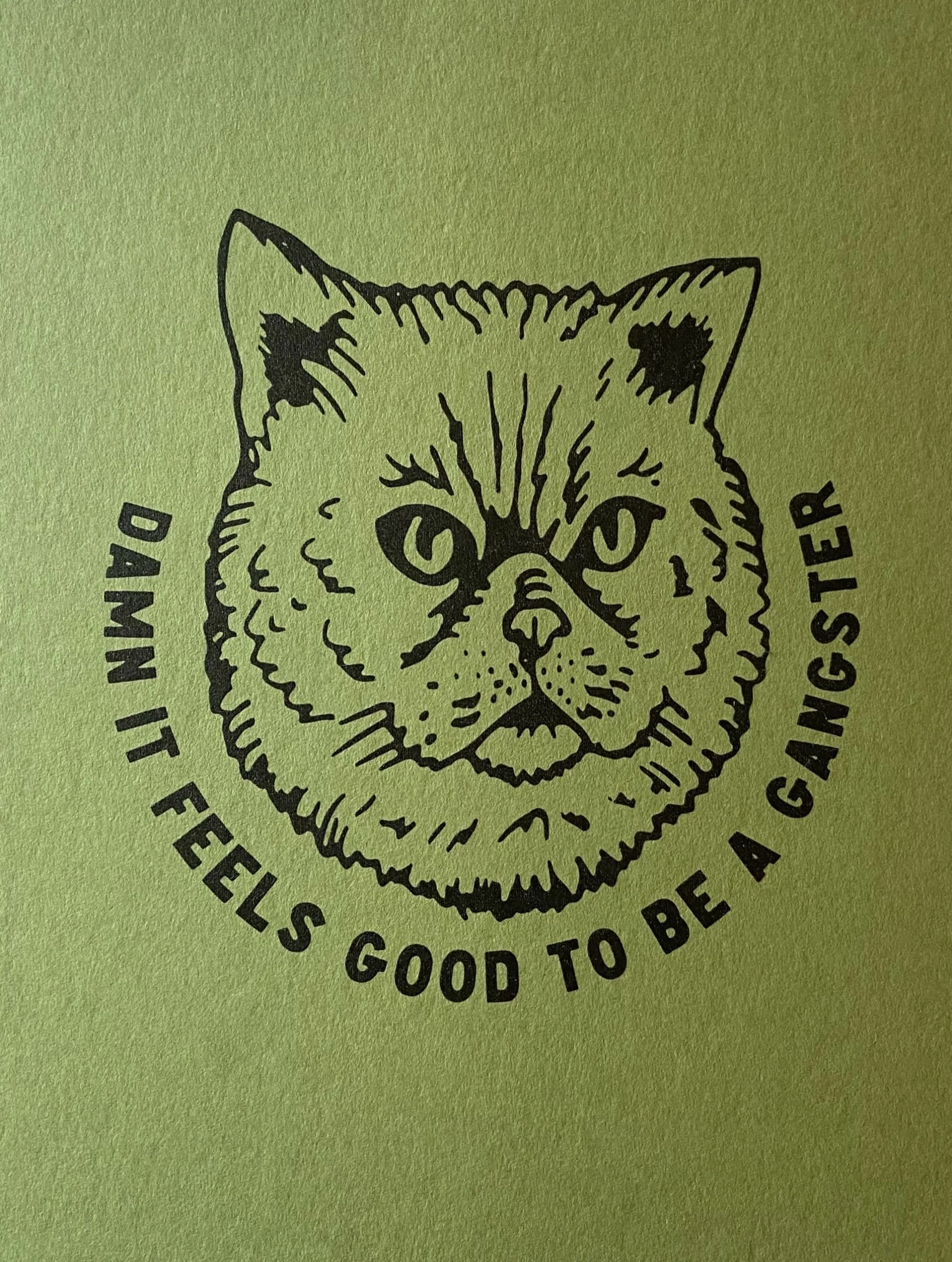 Don&rsquo;t test her 
.
.
.
#cats #screenprinting #gangsta #purefluff #kittens