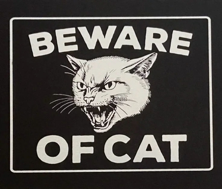 We&rsquo;ve got a house full of &lsquo;em and we&rsquo;re not afraid to unleash them 🔪 
.
.
.
#killercats #security #screenprinting #cats #nailsbeatskin