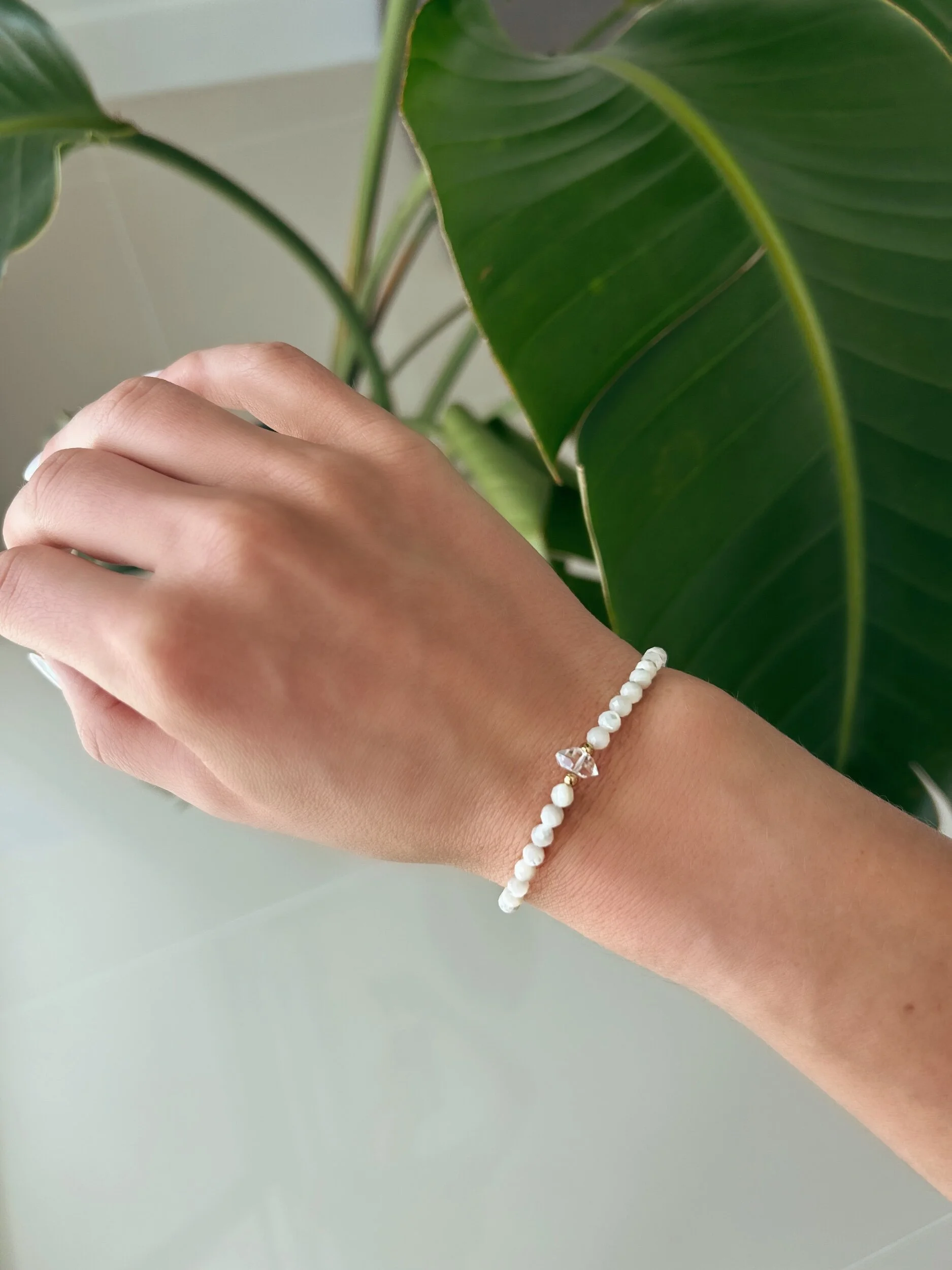 B080285A-C9F8-4D58-ADC1-BD41C87E6DCA