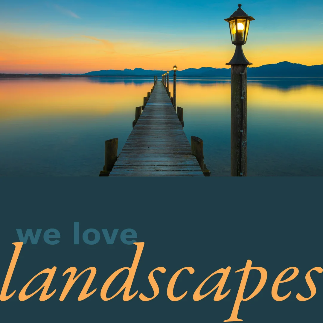 Landscape_intro_Q.jpg