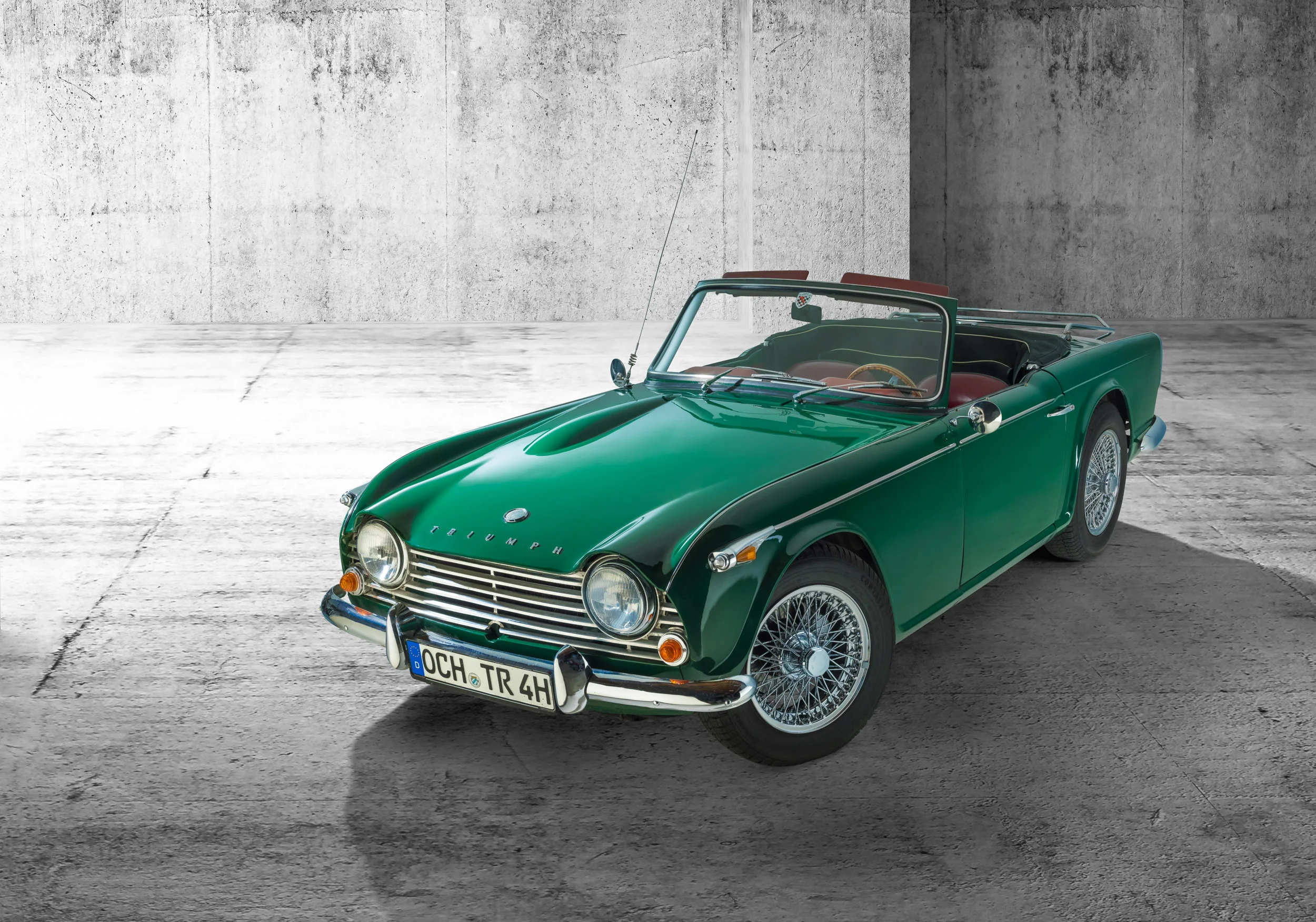 Triumph__0129-2.jpg