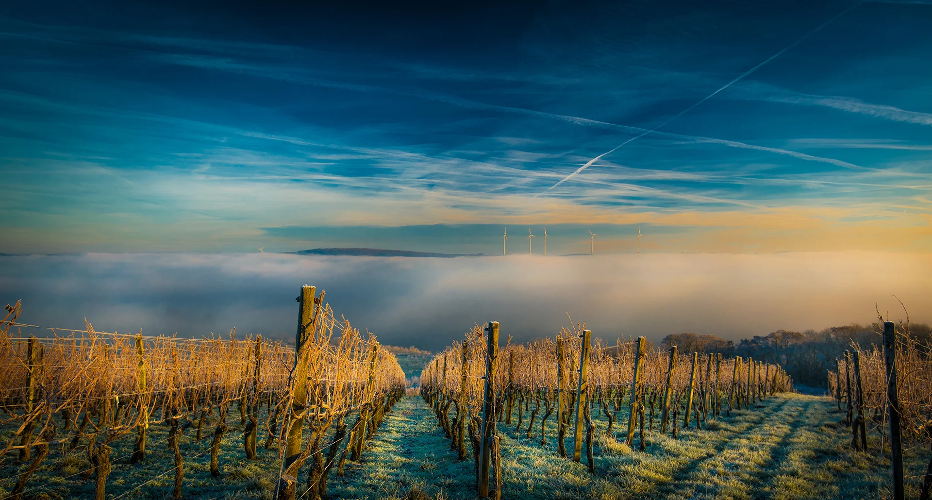 @_Rolf_Nachbar,_2013,_franken,_Landschaft,_Nebel,_Winter___-9.jpg