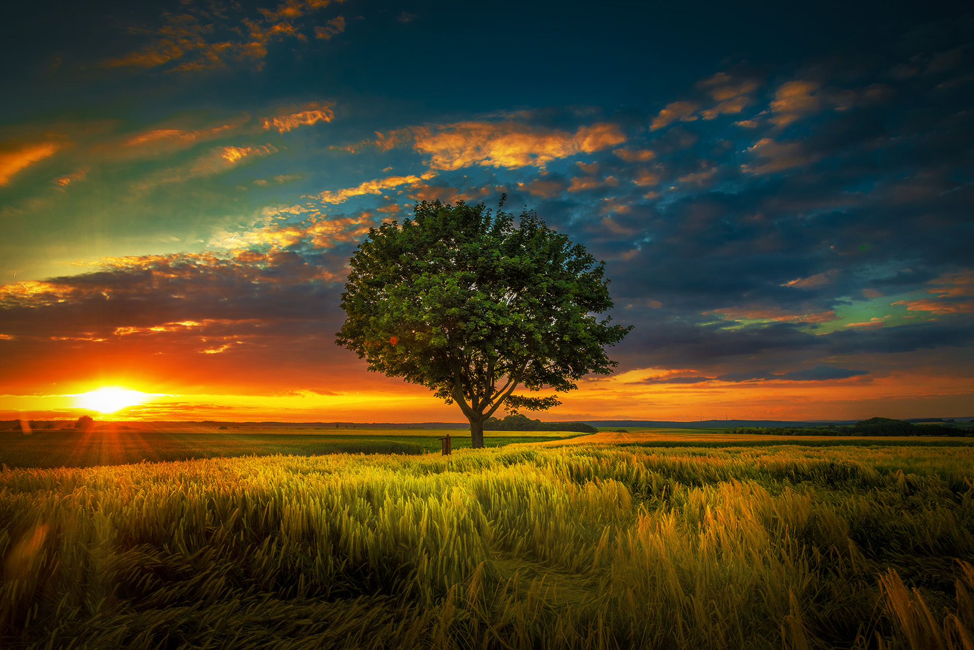SummerSunset.jpg
