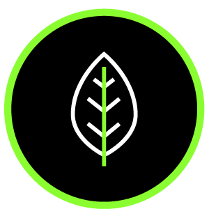 ICONS_green.png