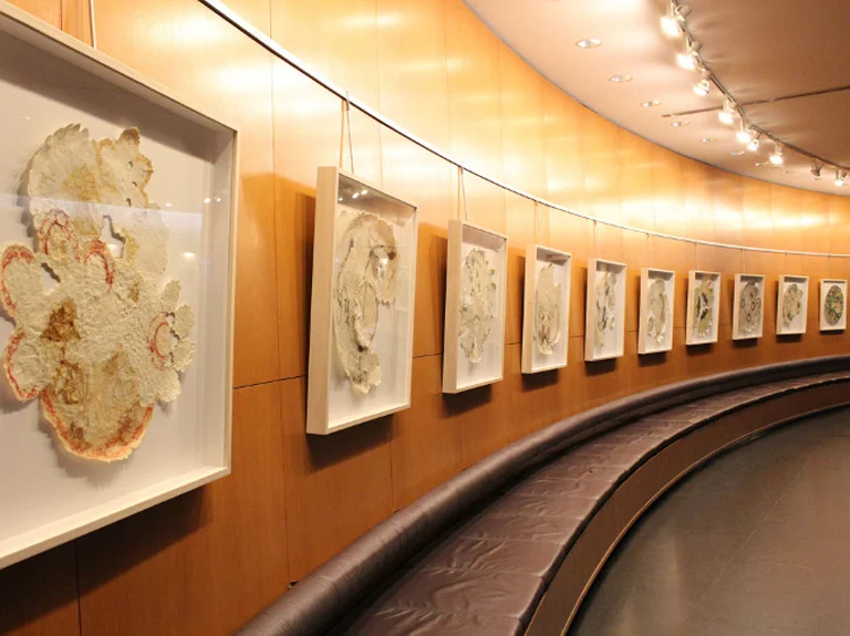 10 Rotunda Installation.jpg