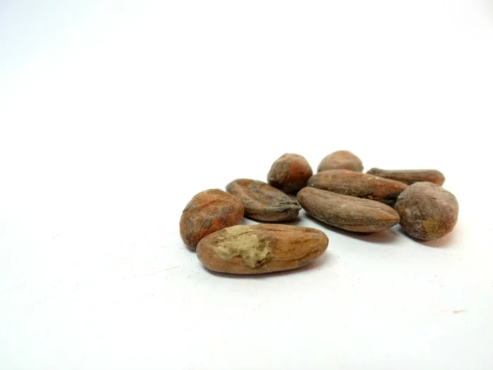 cocoabeans1-700.jpg