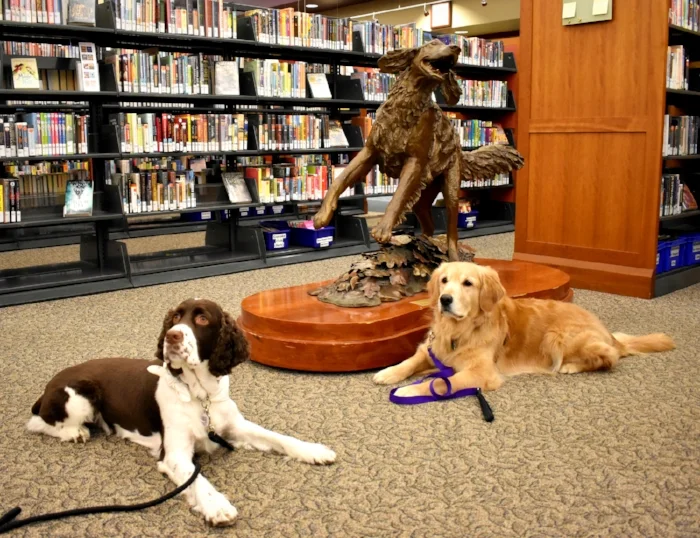 ptlibrary.jpg