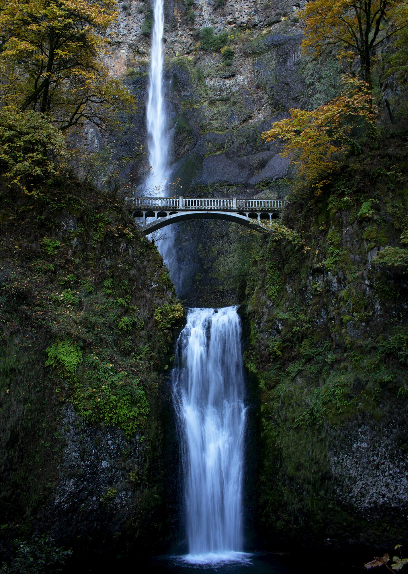 multfalls11.1-1a.jpg