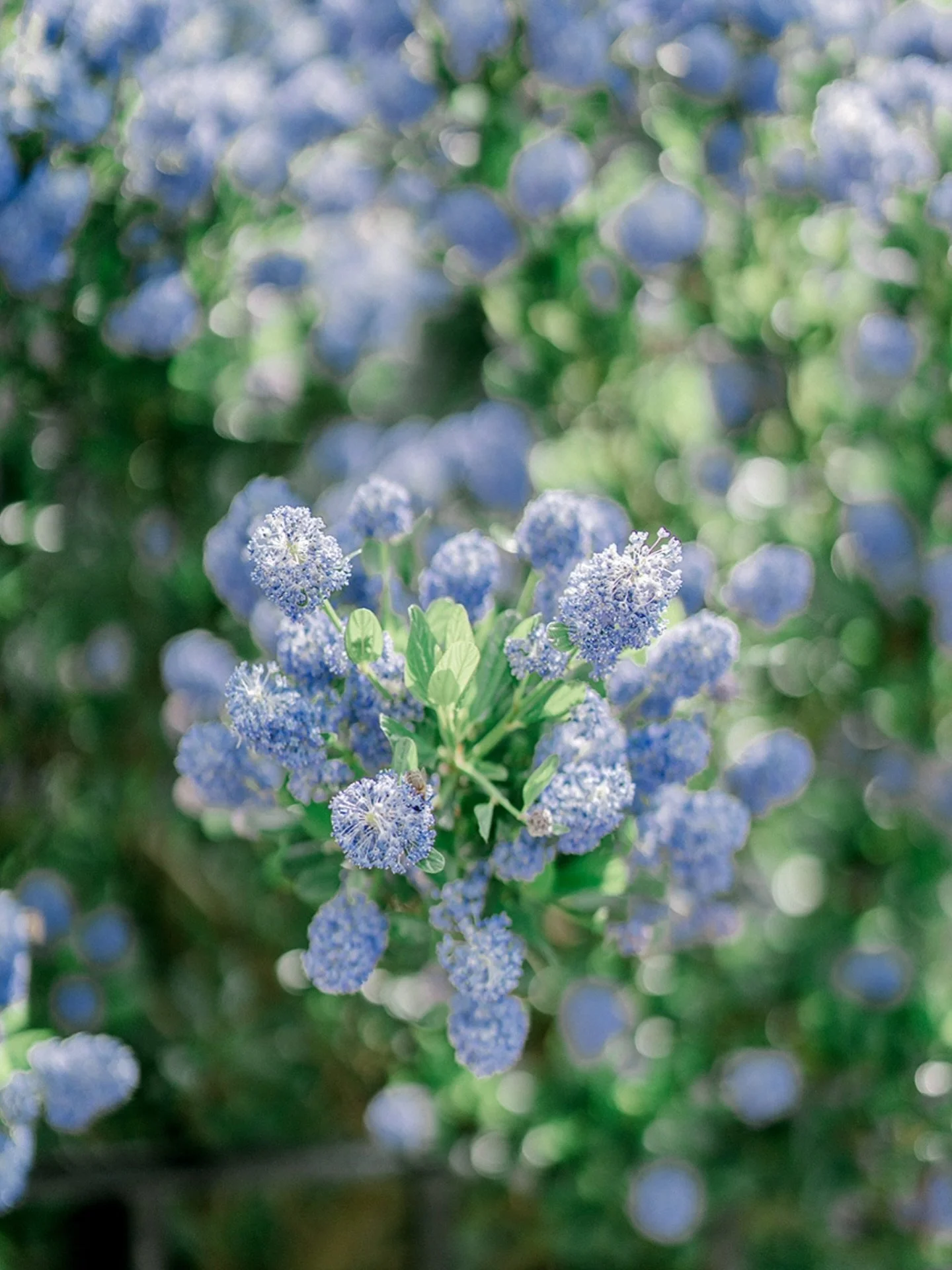 Deadline for any outstanding prints or albums is fast approaching. 13th Nov is the last day for a print run until the new year. Get in touch this week if you have outstanding printed material.