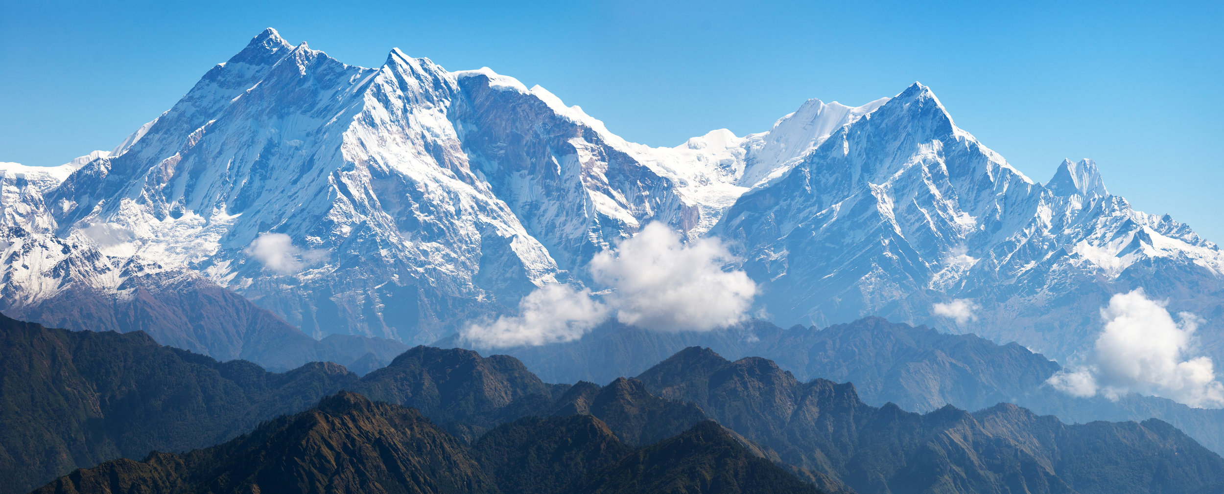 Photo by DanielPrudek/iStock / Getty Images