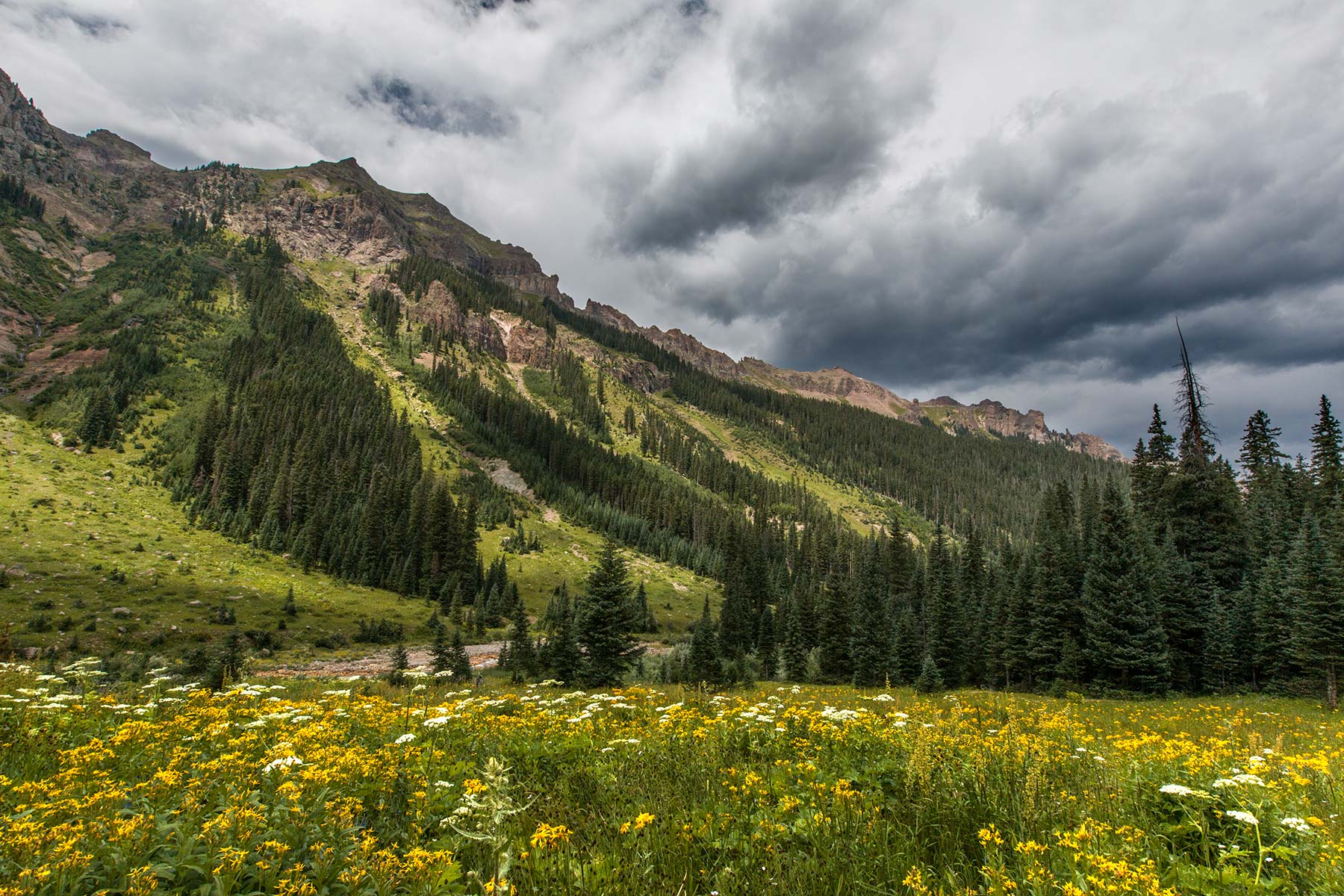 Lunch-Meadow-north.jpg