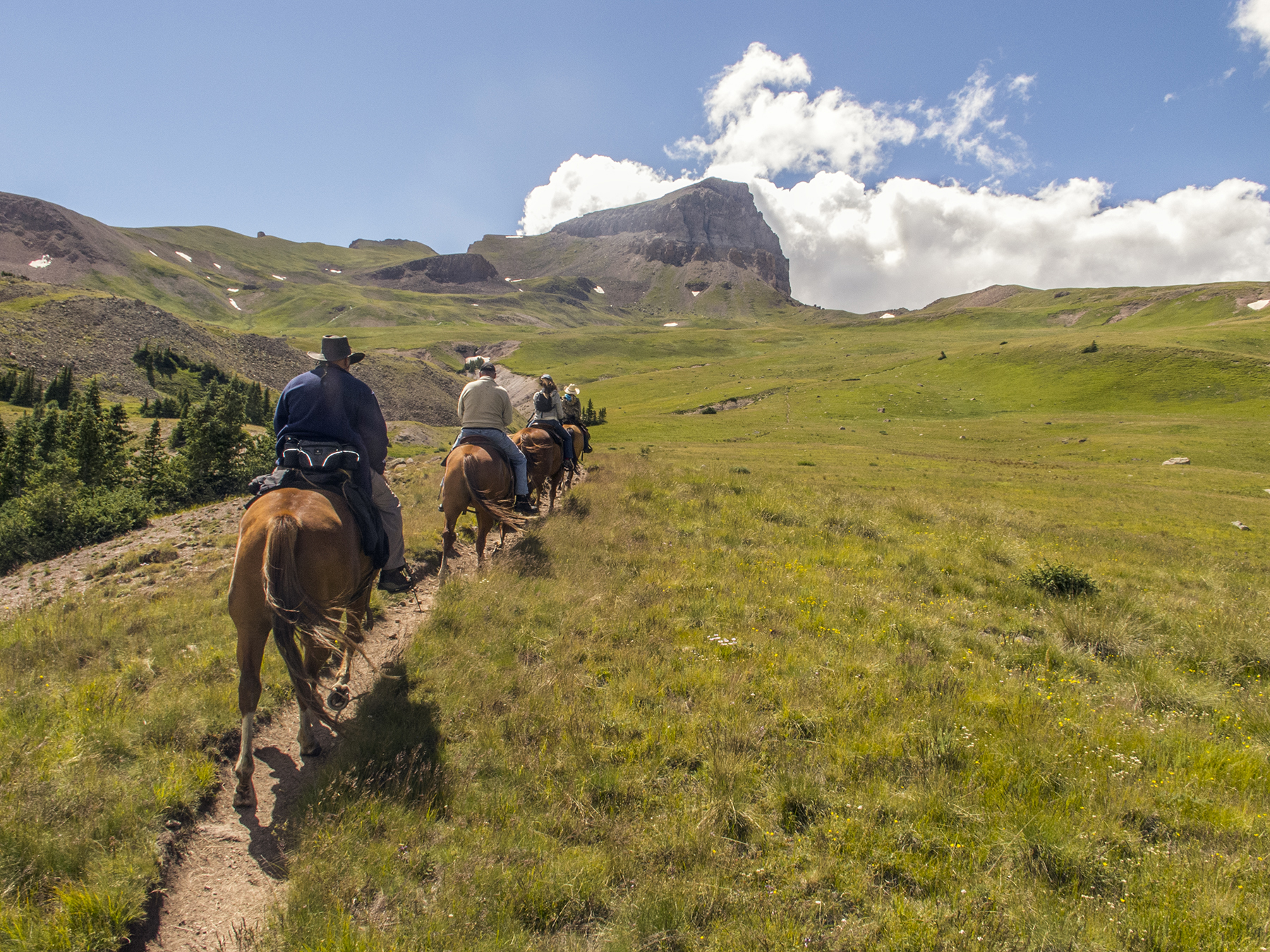 Uncompahgre Peak Horse Trail.jpg