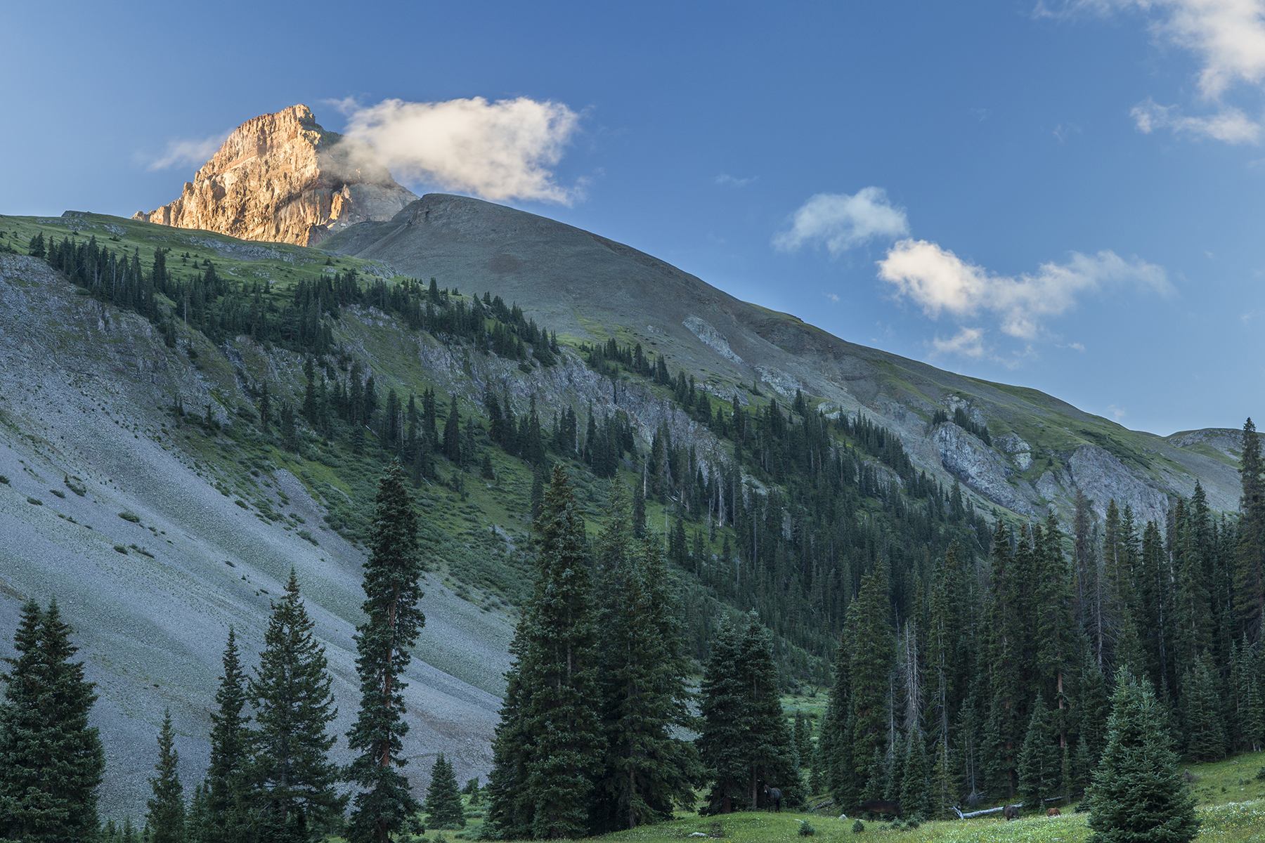 Uncompahgre Peak-morning.jpg