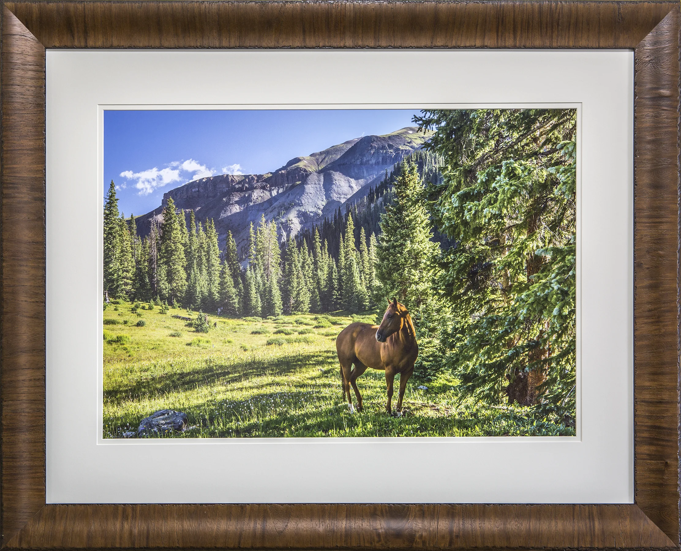 Wilderness, Hashtag horse copy.jpg