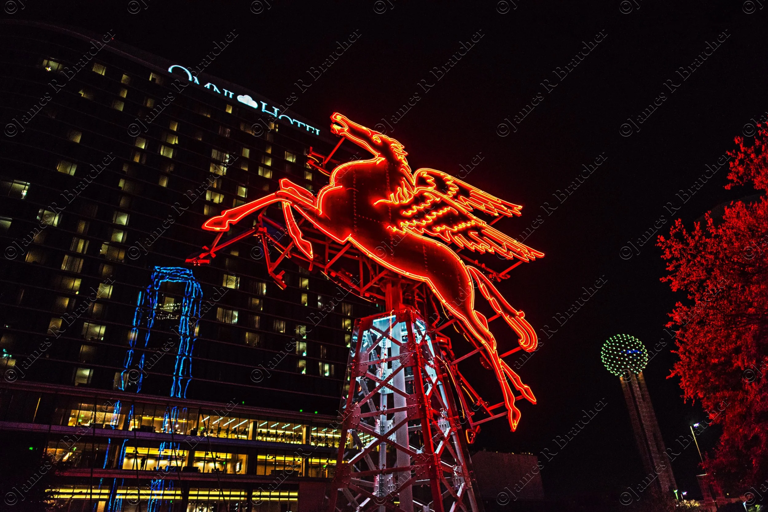 WEBSITE-WM-JRBPHOTO-003.jpg