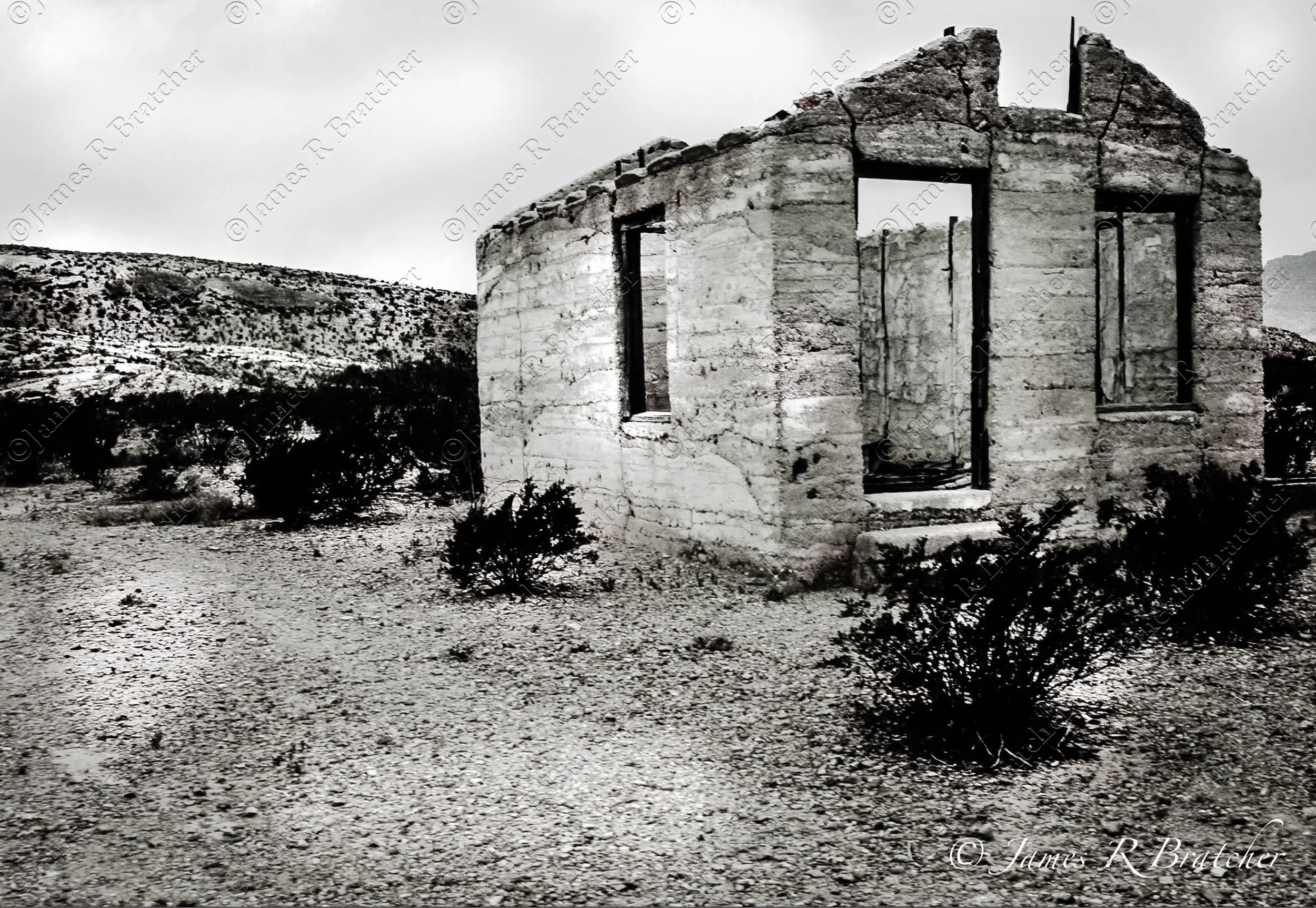 WEBSITE-WM-JRBPHOTOx-021.jpg