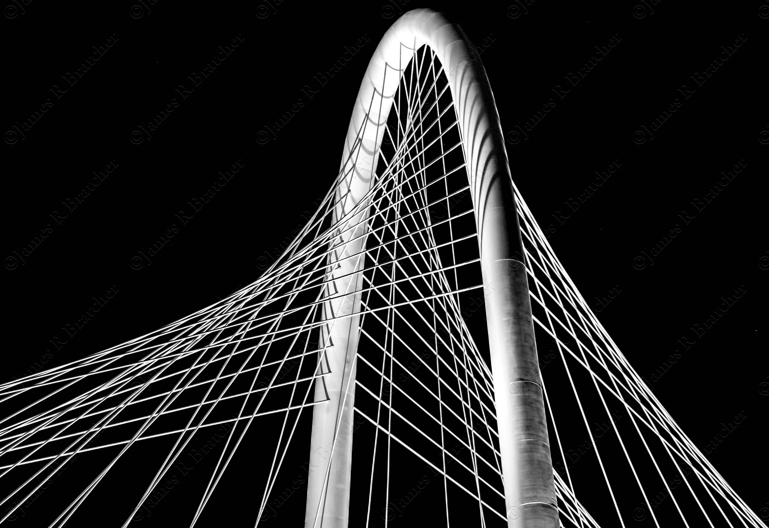 WEBSITE-WM-JRBPHOTOx-004.jpg