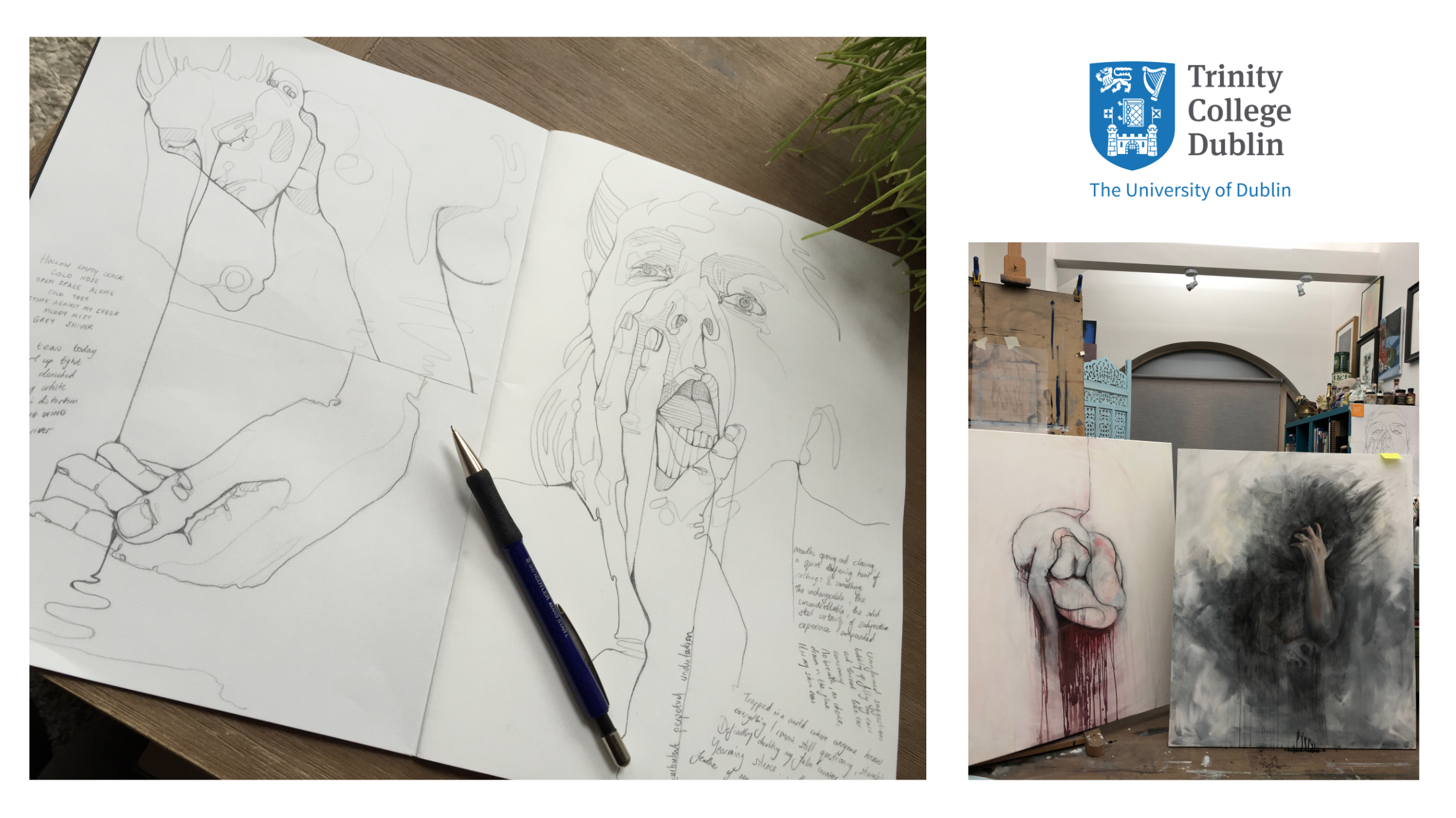 sinead-lawless-trinity-college-dublin.png