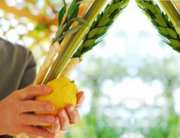 Shabbat of Sukkot 