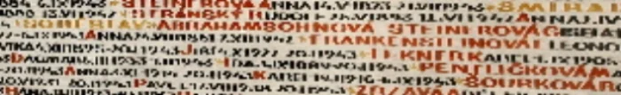 Names of the Jews of Sobeslav who perished in the Shoah, inscribed on the interior walls of the Pinkas Synagogue in Prague. Photo by Barbara Lesch McCaffry.