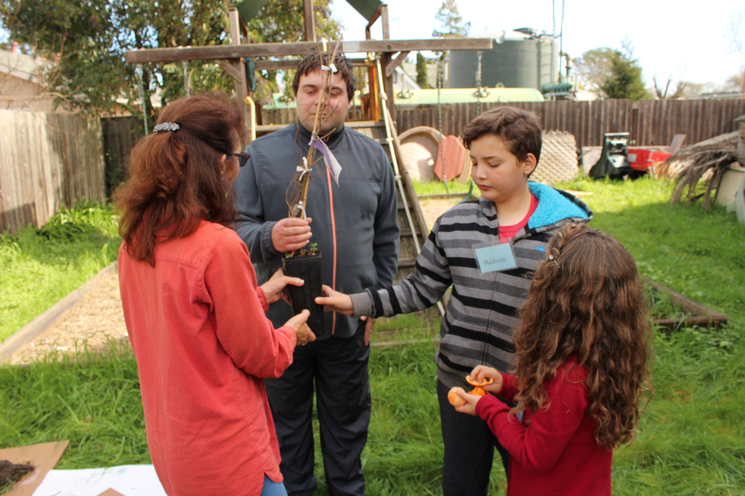 Celebrating Diversity Ner Shalom Cotati CA