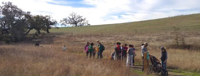 Sapling Hike for Families with Young Children