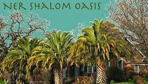 Ner Shalom Oasis