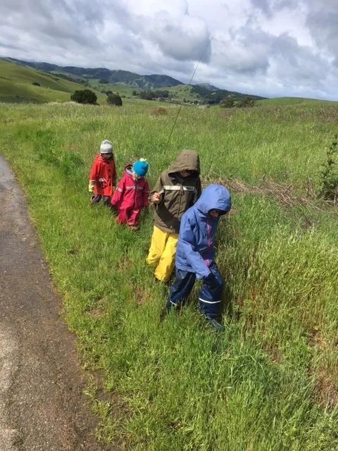 Saplings Family Hike