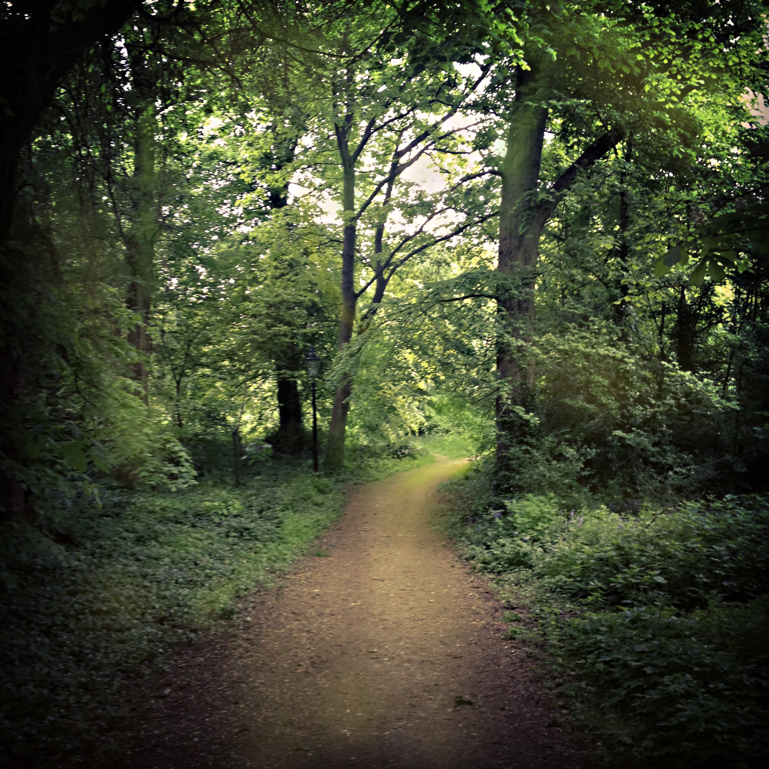 Kol Nidrei: Yom Kippur Evening