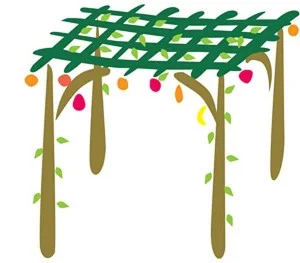 Shabbat in the Sukkah