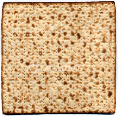 Celebrations Program – Seder!