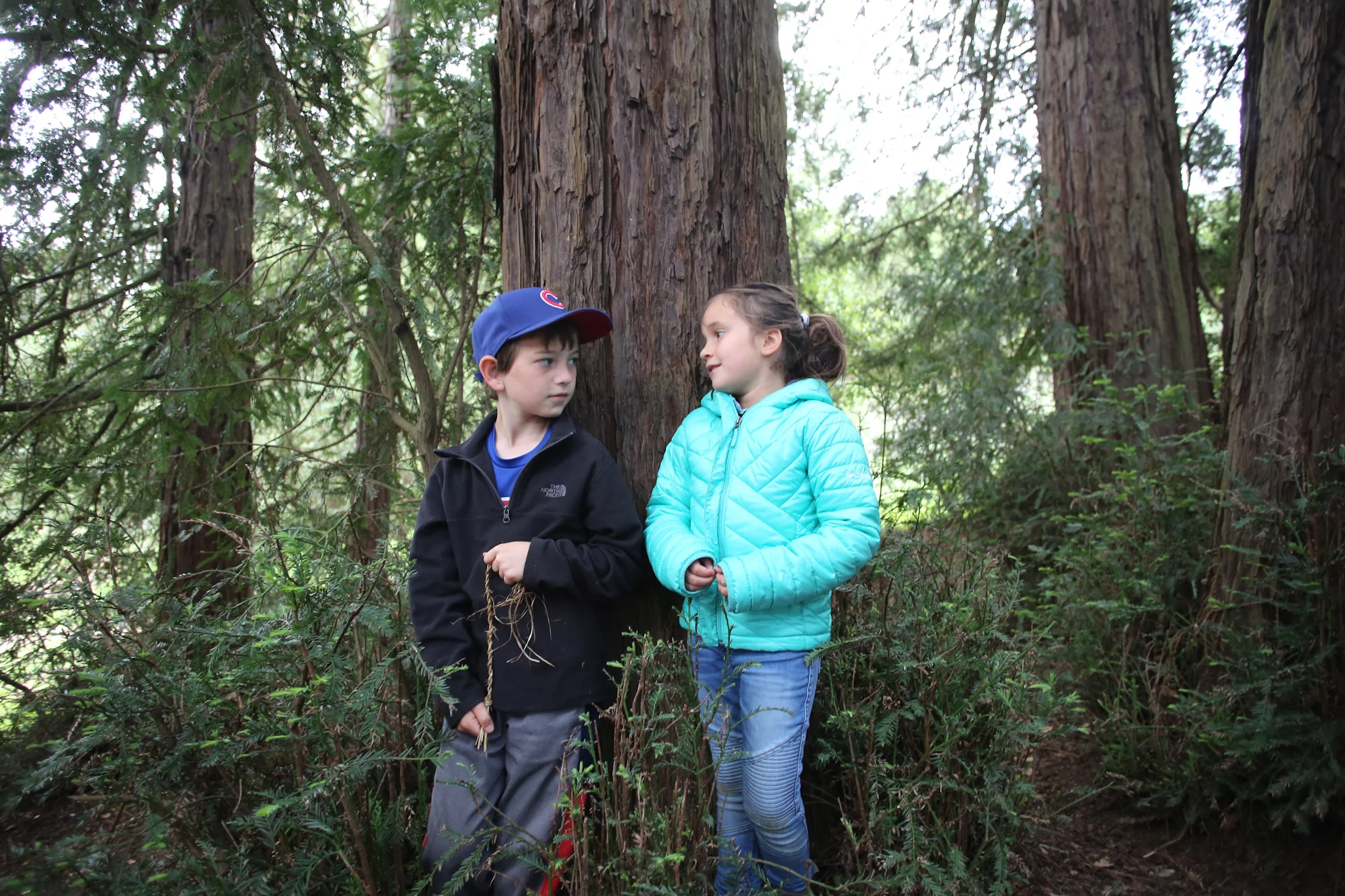 Beginning in January, Wilderness Torah’s B’Hootz Program will be available for our kids, K-5.