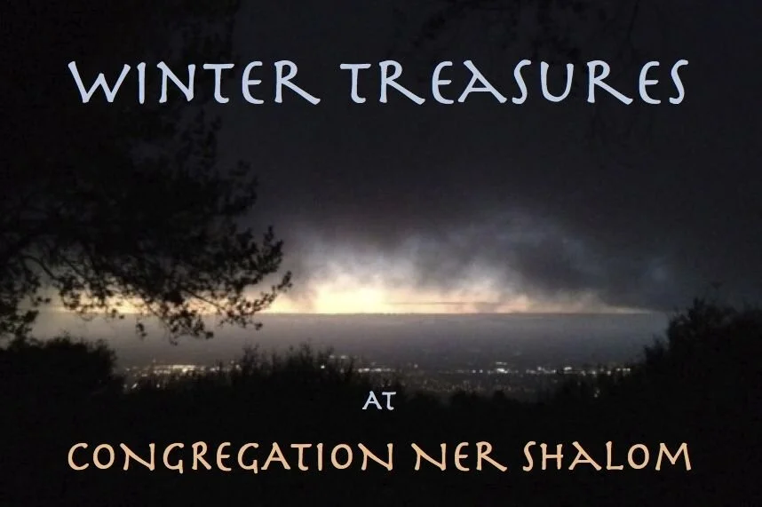Winter Treasures Solstice Shabbat