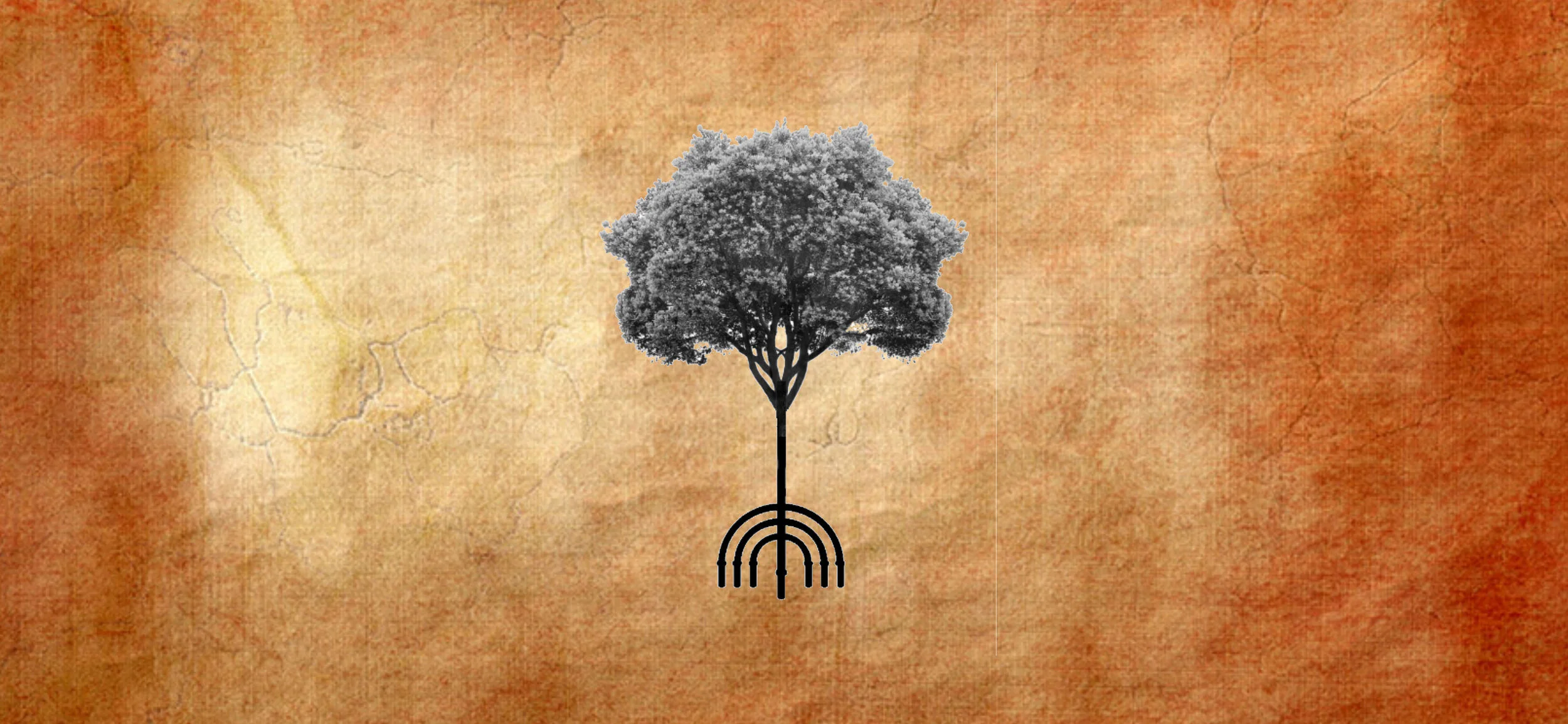 Taproot Tisha B'Av: Honoring the Grief