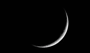 Nitzanim Rosh Chodesh Kislev