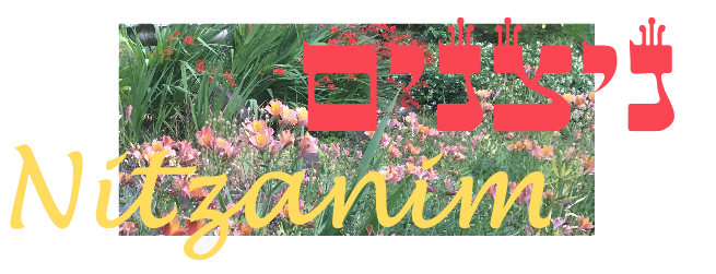 Nitzanim Family Experience