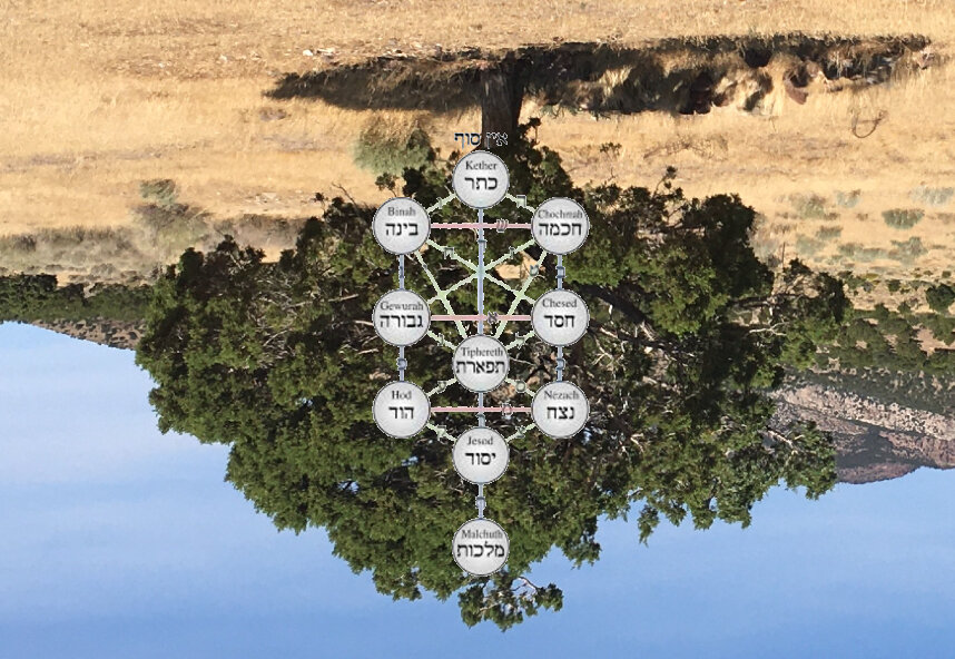 The Cosmic Tree of Life in Kabbalah