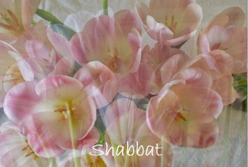 Shabbat