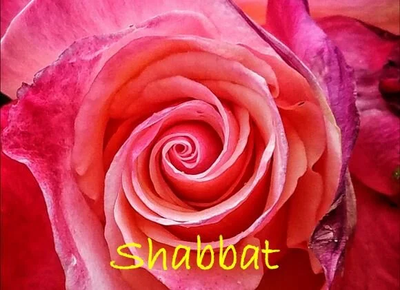 Shabbat