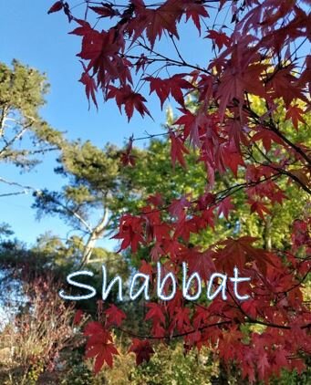 Shabbat with Reb Irwin  